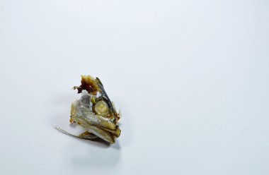 uskumru kafa kalmadı üzerinde beyaz arka plan üzerinde yemek