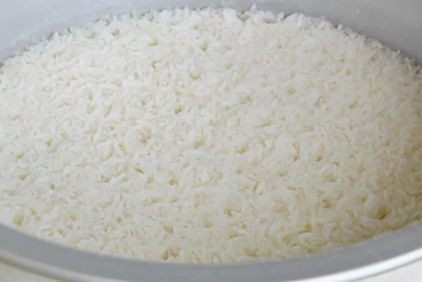 Обычный рис, приготовленный на пару в электрической плите — стоковое фото