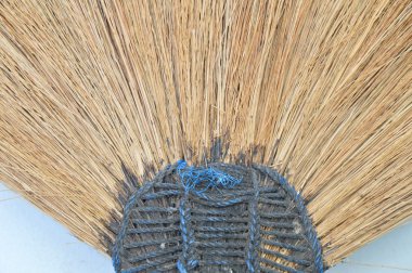 süpürge otu eski beyaz bina duvara yalın