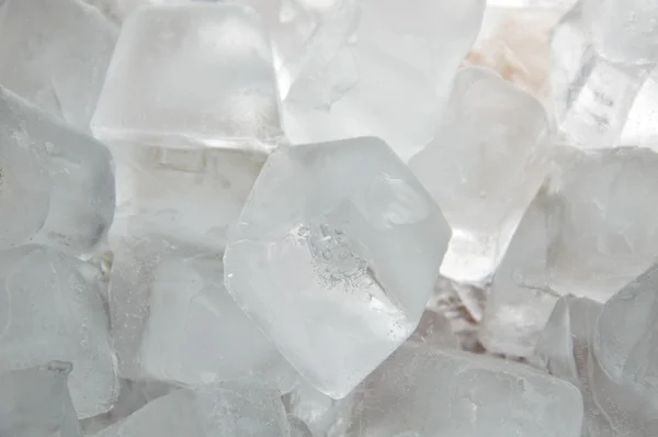 Kostka ledu v plastové vaničce — Stock fotografie