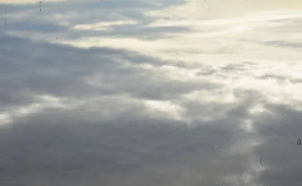 Wolken- und Himmelsreflexion auf der Wasseroberfläche im Reisfeld — Stockfoto