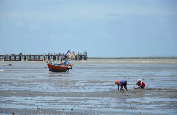 Fiske kvinnor hitta några skaldjur eller krabba gömmer sig i sanden på stranden — Stockfoto