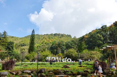 Tayland Doi Ang Khang ilk royal tarım istasyonu