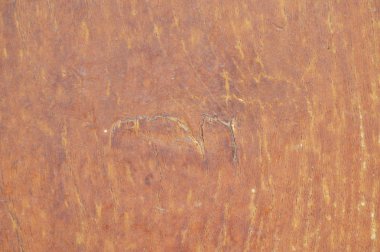 Ahşap kapı doku ve arka plan