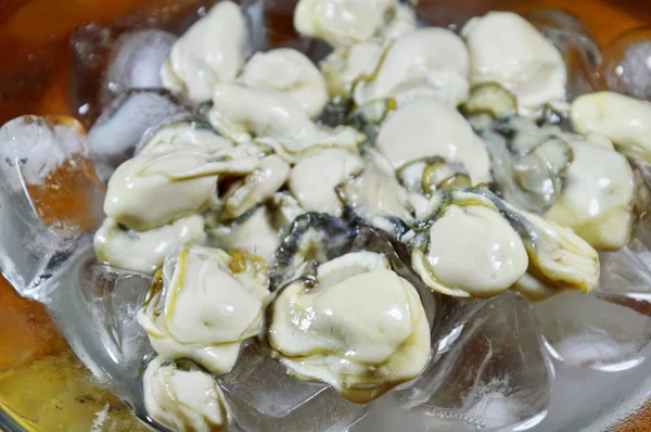 冰上的新鲜牡蛎 — 图库照片