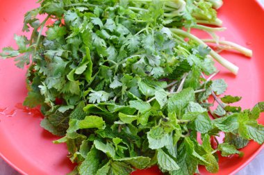 maydanoz ve mutfak kırmızı plastik tepsi üzerinde nane