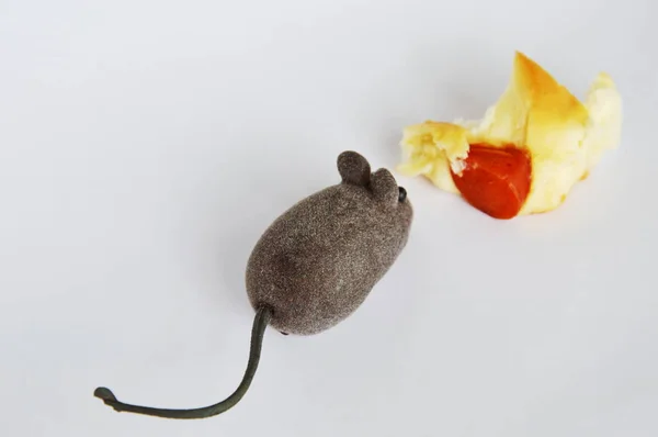 Іграшка для мишей та хліб для ковбас на білому тлі — стокове фото