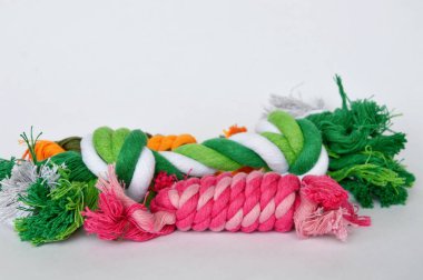 evde beslenen hayvan oyuncak renkli kumaş ip beyaz arka plan üzerinde