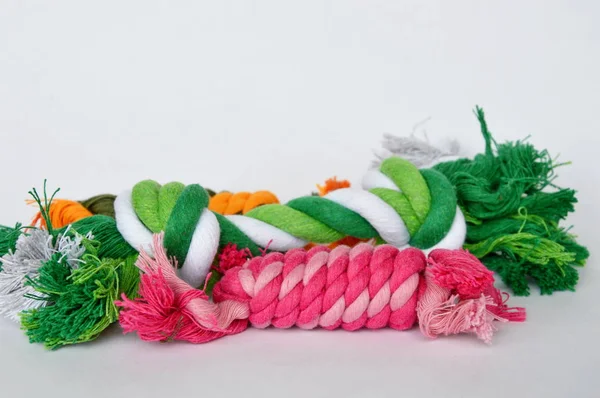 Mainan hewan peliharaan tali kain berwarna-warni pada latar belakang putih — Stok Foto