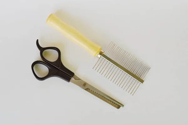Scissors dog grooming  and comb on white background — Stock Photo, Image