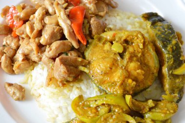 Baharatlı karıştırın kızarmış tavuk fesleğen yaprağı ve yayın balığı pirinç köri