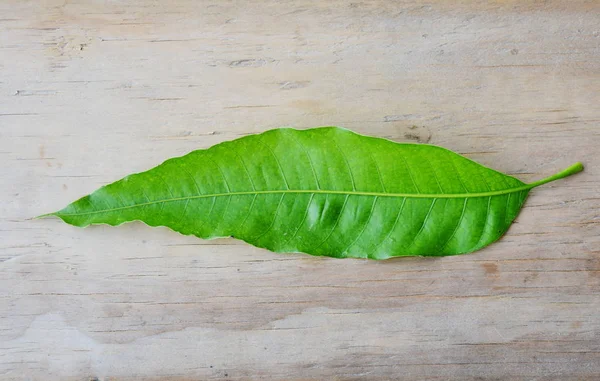 Mango blad på trä bakgrund — Stockfoto