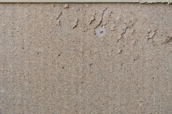 plywood noticeboard scratch from cat paw