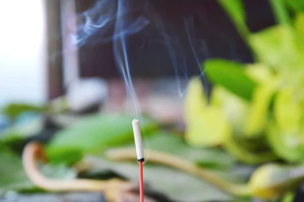 Vara de incenso queimando a cinzas para oferecer antepassado — Fotografia de Stock