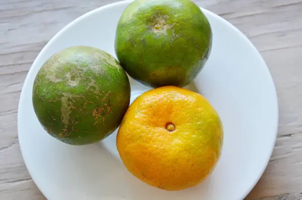 Tangerine ripen and unripe on dish — Stock Photo, Image