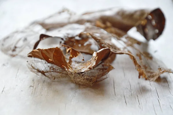 Trockenes braunes Blatt zersetzt Struktur auf Holzbrett — Stockfoto