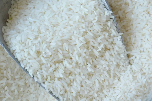 Thai jasmine rice paddy on iron scoop — Stock Photo, Image