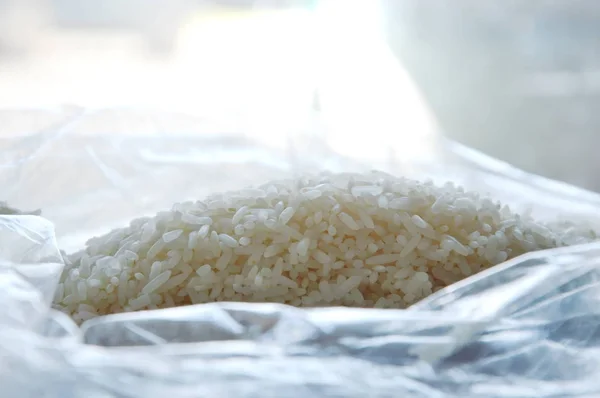 Thai jasmine rice paddy in plastic bag — Stock Photo, Image