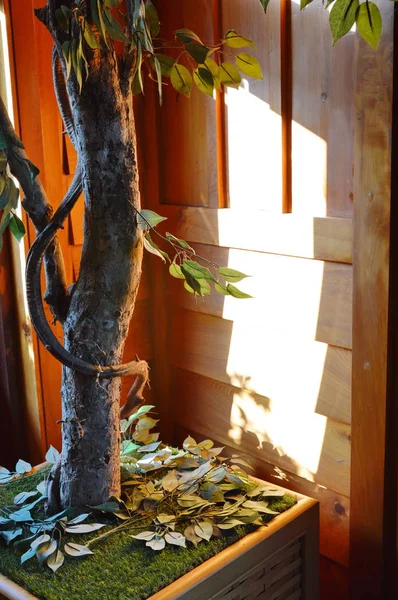 Baum im Holzhaus schmücken — Stockfoto