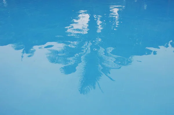 Wazig kokosnoot boom reflectie op blauwe tegel zwembad — Stockfoto