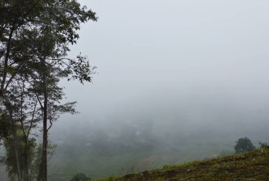 sisli kapak paddy Tayland kırsal alanda