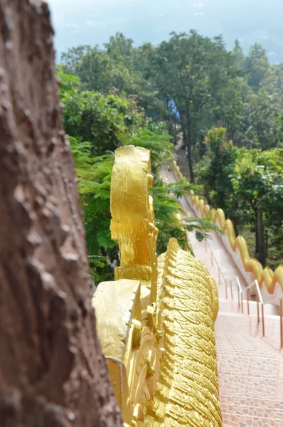 Wysokie Schody poprzez drewno do buddyjskiej świątyni na górze — Zdjęcie stockowe