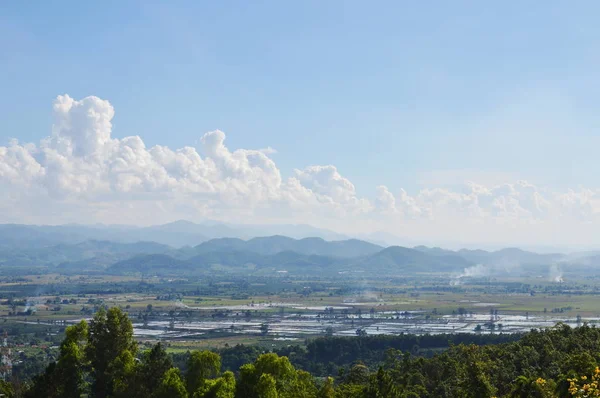 Reisfeld und Berghintergrund in der thailändischen Landschaft — Stockfoto