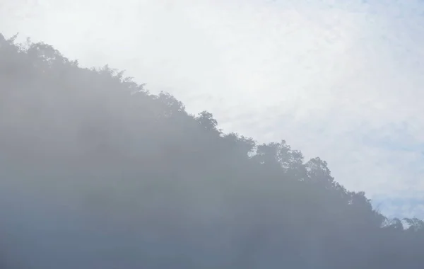 霧に浮かぶとカバー山の斜面 — ストック写真