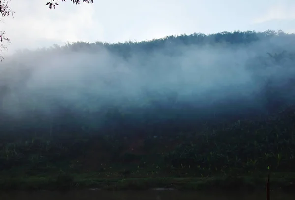 Ομίχλη πλωτό κάλυμμα μπανάνα δέντρο και στο βουνό, δίπλα στον ποταμό — Φωτογραφία Αρχείου