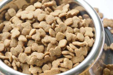  Beyaz arka plan üzerinde daire paslanmaz kapta köpek maması