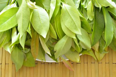 Garcinia cowa tropikal bitki tadı ekşi ve eşsiz koku tepsi