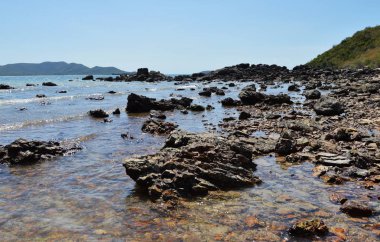 güneşli bir günde sahil üzerinde resif
