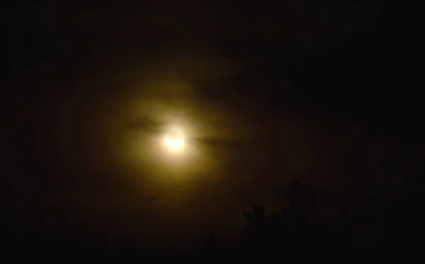 Bulan di langit mendung dan bayangan pohon di malam hari — Stok Foto