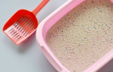  kedi kumu pembe kutu ve karo zemin üzerinde kırmızı plastik kürek