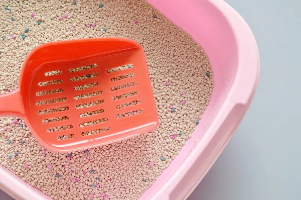 Червона пластикова лопата на котячому посліді в рожевому басейні — стокове фото