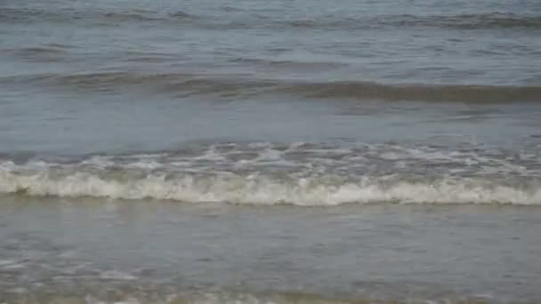 surf d'eau de mer à la plage en journée ensoleillée 