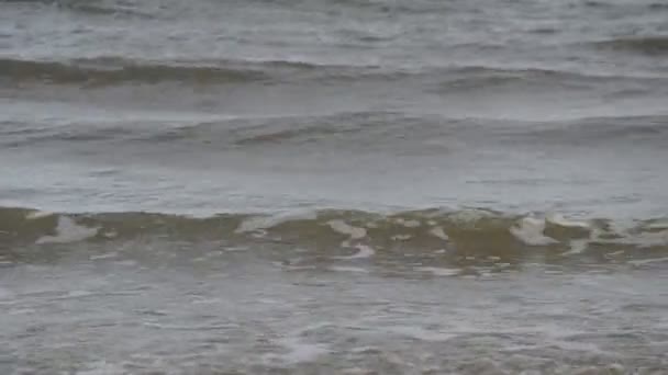 Närbild på havet vatten, surfa på stranden i soliga dag — Stockvideo
