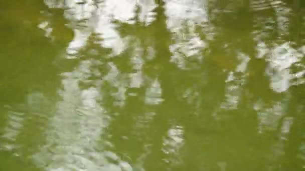 Regen drop rimpelingen en verspreiden op de vijver — Stockvideo