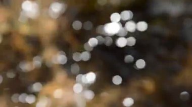 su ve nehirde hareketli güneş ışığı yansıması bulanık