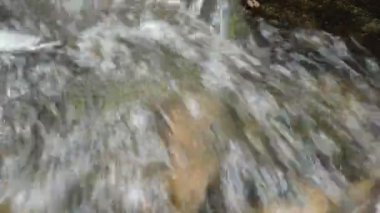 Katarakt üzerinde akan nehir kadar yakın ve ormanda vınlamak dışarı