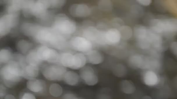 flou de rivière qui coule et fond mouvant 