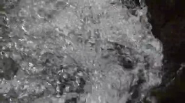 Katarakt üzerinde akan nehir kadar yakın ve ormanda vınlamak dışarı