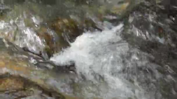 Agua que fluye golpeó la roca y las olas salpicando en el río — Vídeos de Stock