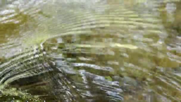 Voda teče narazila na skálu a vlnily v řece — Stock video