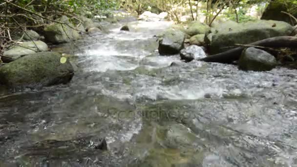 Вода, що тече на катаракти в річці — стокове відео