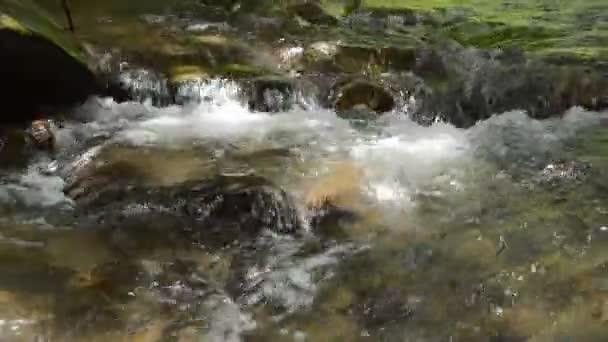 Eau coulant et frappant éclaboussures de roche sur la cataracte dans la forêt — Video