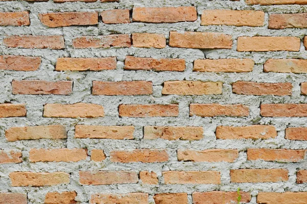 red brick wall merged by cement background and texture