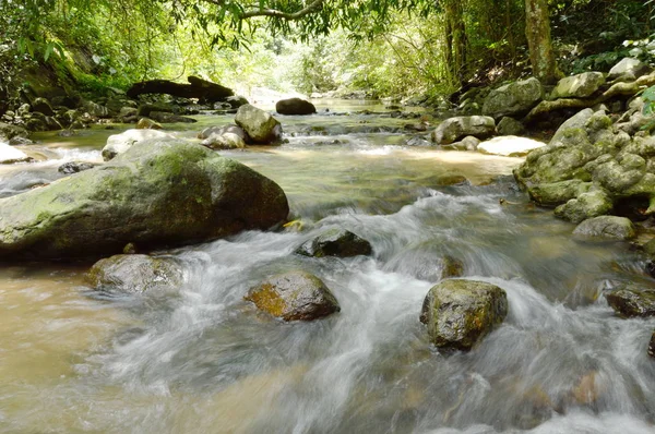 Río que fluye en cataratas y salpicaduras de agua en el bosque —  Fotos de Stock