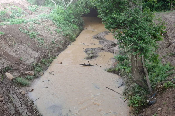 ormandan toprak ve çamur risk ekmeye alarak yağışlı sezon akan su sel yapmak