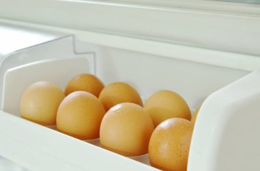  kahverengi yumurta buzdolabının kapısını içinde tepsi üzerinde düzenleme